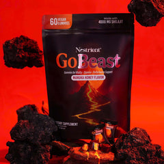 Nestrient GoBeast Shilajit Gummies – Manuka Honey Flavor