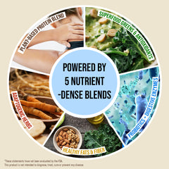 Nestrient GoPrimeal Vegan Protein Meal Shake with Probiotics, Digestive Enzymes & Adaptogens, Dried Superfood Included - Vanilla Flavour