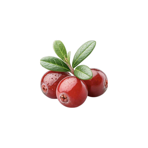 Three red berries with green leaves on a white background