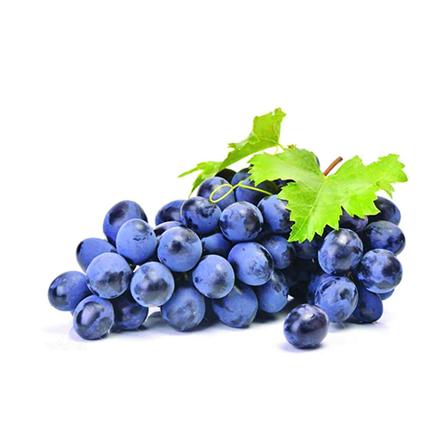 Bunch of blue grapes with green leaves on a white background