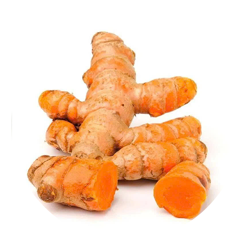 Turmeric roots on a white background