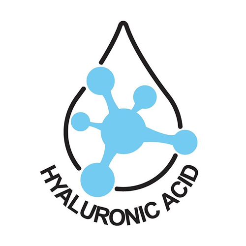 Logo of hyaluronic acid with a blue molecule structure inside a black droplet outline on a white background.