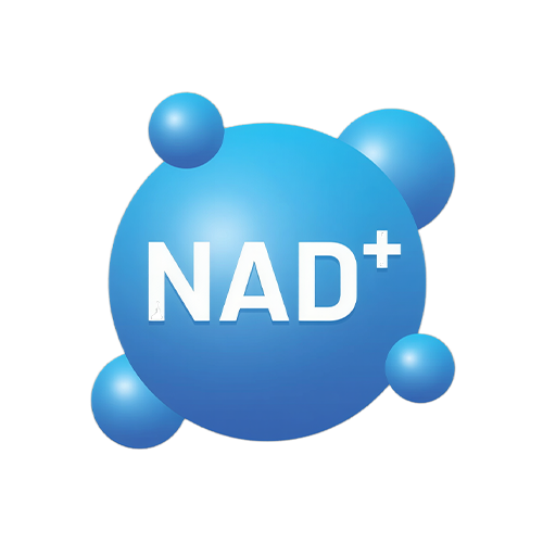 NAD+ symbol with blue molecular structure on a white background